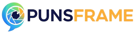 punframe-logo