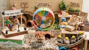 hamster puns